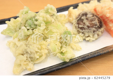 おいしいふきのとうの天ぷら おいしいふきのとうの天ぷら 62445279