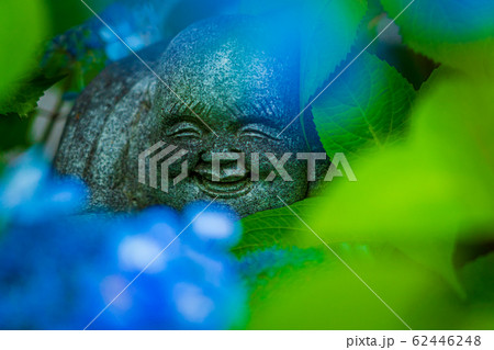 京都市東山区建仁寺塔頭寺院・霊源院甘露庭を撮影 京都市東山区建仁寺塔頭寺院・霊源院甘露庭を撮影 62446248