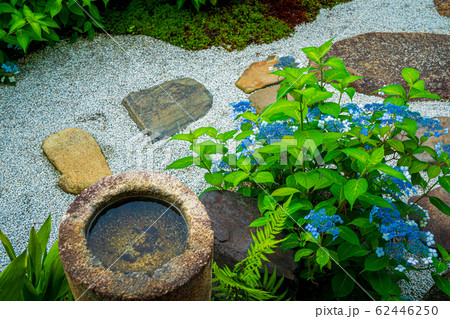 京都市東山区建仁寺塔頭寺院・霊源院甘露庭を撮影 62446250