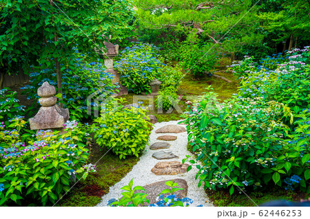 京都市東山区建仁寺塔頭寺院・霊源院甘露庭を撮影 62446253