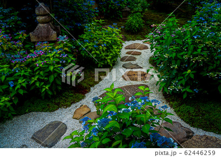 京都市東山区建仁寺塔頭寺院・霊源院甘露庭を撮影 62446259