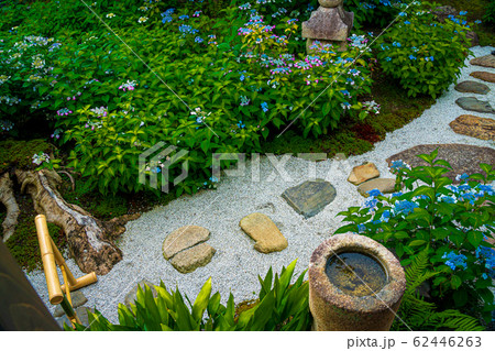 京都市東山区建仁寺塔頭寺院・霊源院甘露庭を撮影 62446263