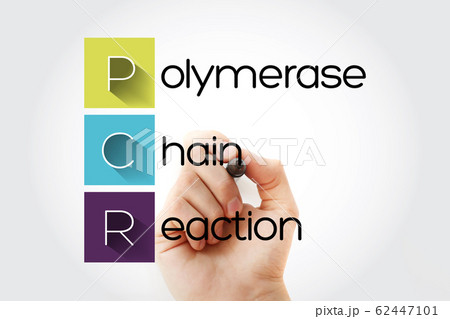 PCR - Polymerase Chain Reaction acronym 62447101
