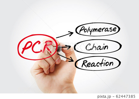 PCR - Polymerase Chain Reaction acronym 62447385