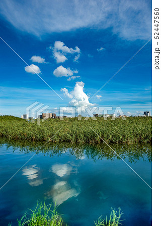 夏の多摩川と向こう岸に見える川崎の景色の写真素材