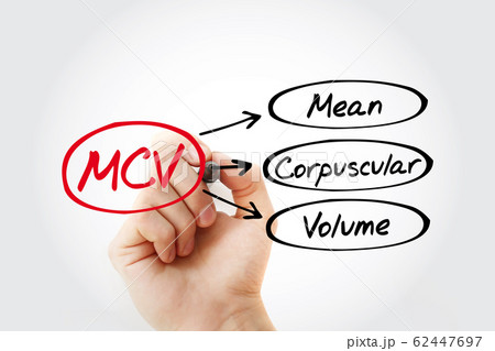 MCV - Mean Corpuscular Volume acronym MCV - Mean Corpuscular Volume acronym 62447697