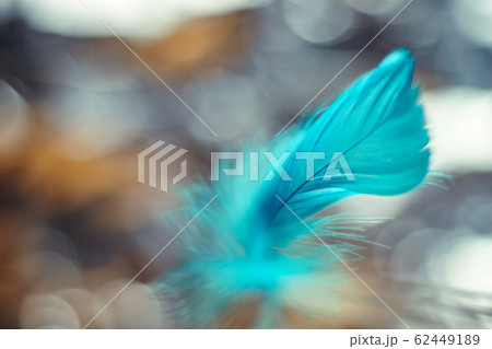 Close up Beautiful blue Bird feather pattern 62449189