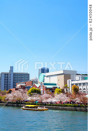 桜 造幣局 大阪 桜 造幣局 大阪 62450048