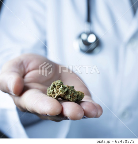 doctor man with some marijuana buds in his hand doctor man with some marijuana buds in his hand 62450575