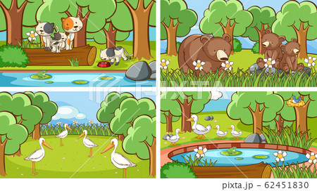 Background scenes of animals in the wild 62451830