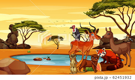 Scene with many animals in the field 62451932