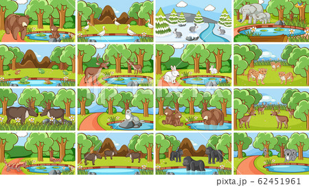 Background scenes of animals in the wild Background scenes of animals in the wild 62451961