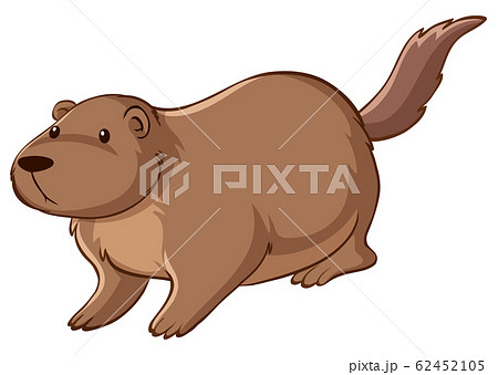 Brown Beaver On White Backgroundのイラスト素材