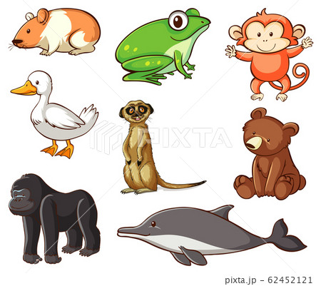 Large set of wildlife with many types of land and 62452121