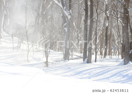 雪景色、雑木林の風景と雪煙り 62453611