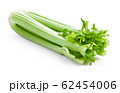 green celery sticks 62454006