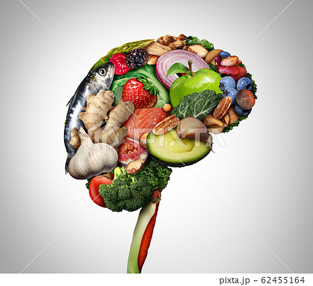 Healthy Brain Food Healthy Brain Food 62455164