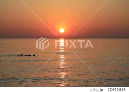 千葉市の海岸 夕日と水鳥の群れ 千葉市の海岸 夕日と水鳥の群れ 62455813