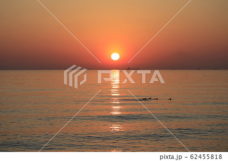 千葉市の海岸　夕日と水鳥の群れ 62455818