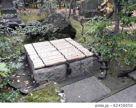 井戸 62456050