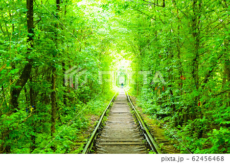 Love tunnel 62456468