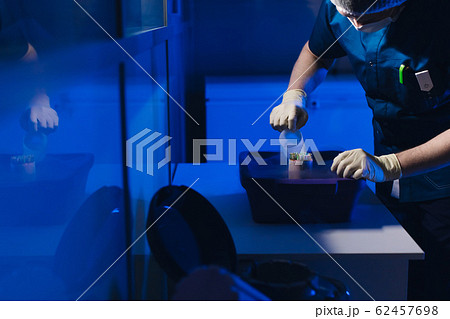 Specialist Embryologist Takes a capsule With Embryos from the Cryobank Specialist Embryologist Takes a capsule With Embryos from the Cryobank 62457698