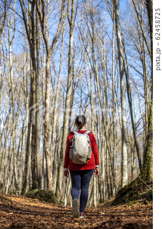 Pretty woman walking in the beech forest at Pretty woman walking in the beech forest at 62458725