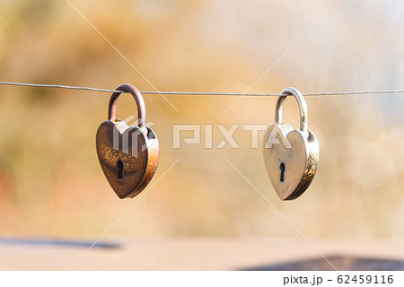 Gold padlocks in the heart shape hanging on rope Gold padlocks in the heart shape hanging on rope 62459116