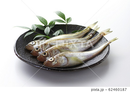 はたはた1 はたはた1 62460187