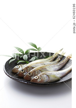 はたはた3 62460196