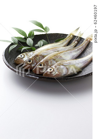 はたはた4 62460197