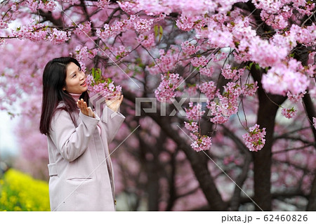 桜デート 62460826