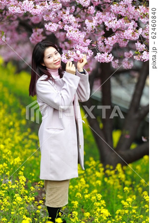 桜デート 桜デート 62460840