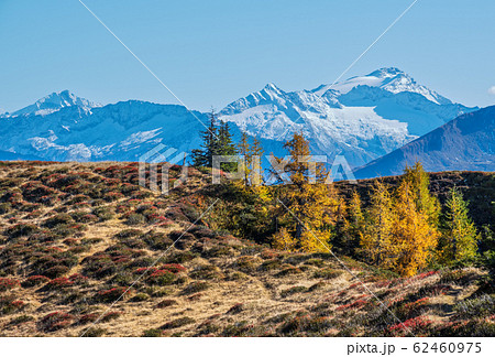 Peaceful autumn Alps mountain sunny view from 62460975
