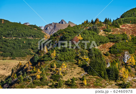 Peaceful autumn Alps mountain sunny view from 62460978