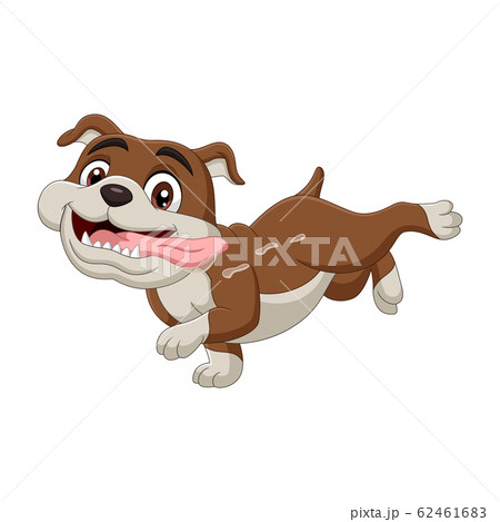Cartoon bulldog isolated on white background 62461683