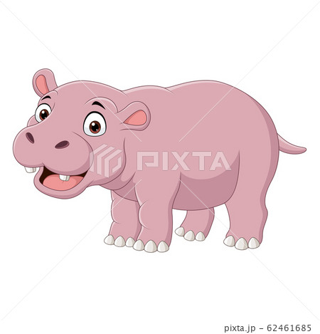 Cute smiling hippo on white background 62461685
