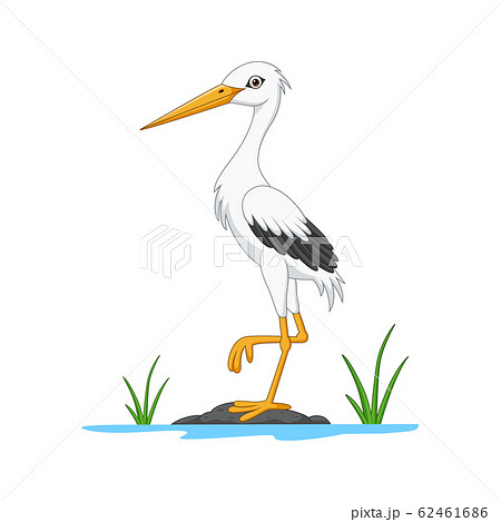 Cartoon white stork on stone 62461686