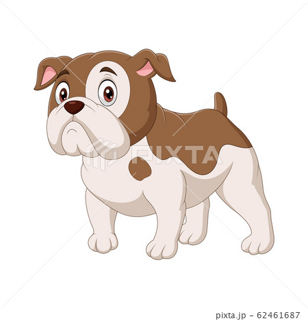 Cartoon bulldog isolated on white background 62461687
