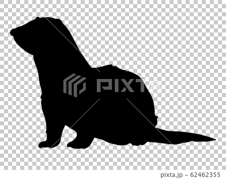 Silhouette Animal / Pet Ferret 0 Dignified 62462355
