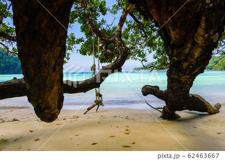 sea of tropical island, Surin island, Thailand sea of tropical island, Surin island, Thailand 62463667