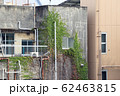ビルに絡まる蔦　植物 62463815
