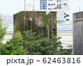 ビルに絡まる蔦　植物 62463816