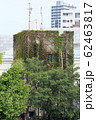 緑の蔦に覆われる建物（低層棟） 62463817