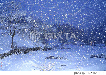 黄昏の降雪　福島県只見町 62464909