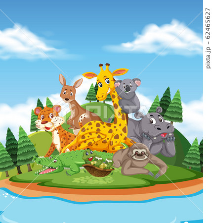 Scene with many wild animals in the park Scene with many wild animals in the park 62465627