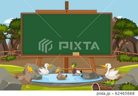 Blackboard template design with ducks swimming in 62465668