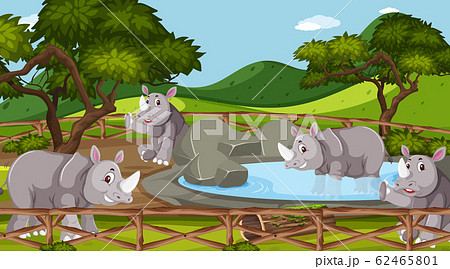 Scene with wild animals in the zoo at day time 62465801