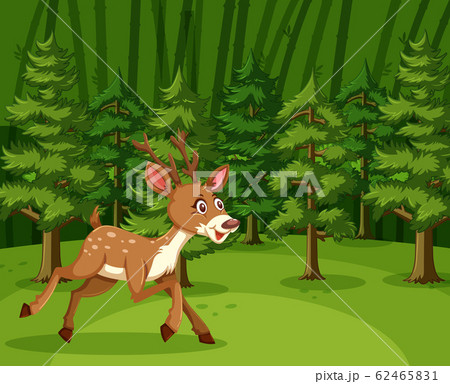 Scene with cute deer running in the forest 62465831