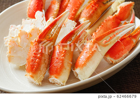 カニ爪 カニ爪 62466679